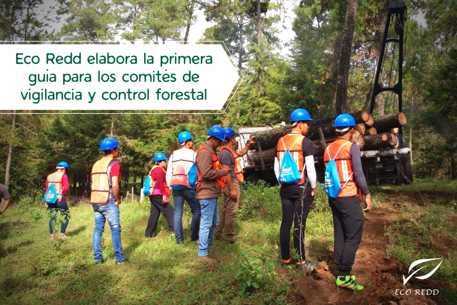 Eco Redd elabora la primera guÃ­a para los comitÃ©s de vigilancia y control forestal